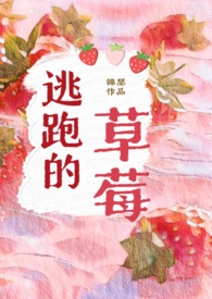 逃跑的人